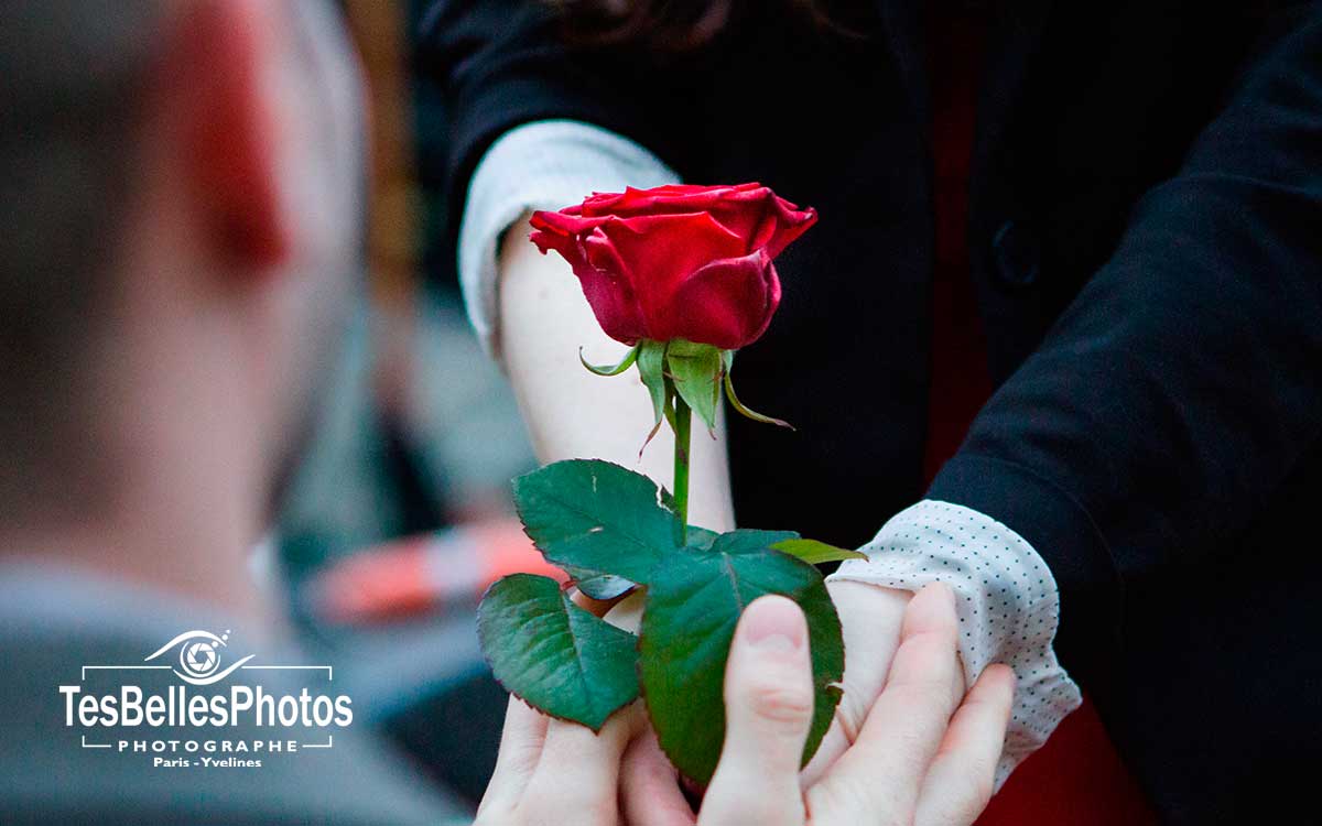 Photographe de couple en lifestyle, photo couple de séance demande en mariage romantique et originale une belle fleur rose, La Demande en Mariage en Rose