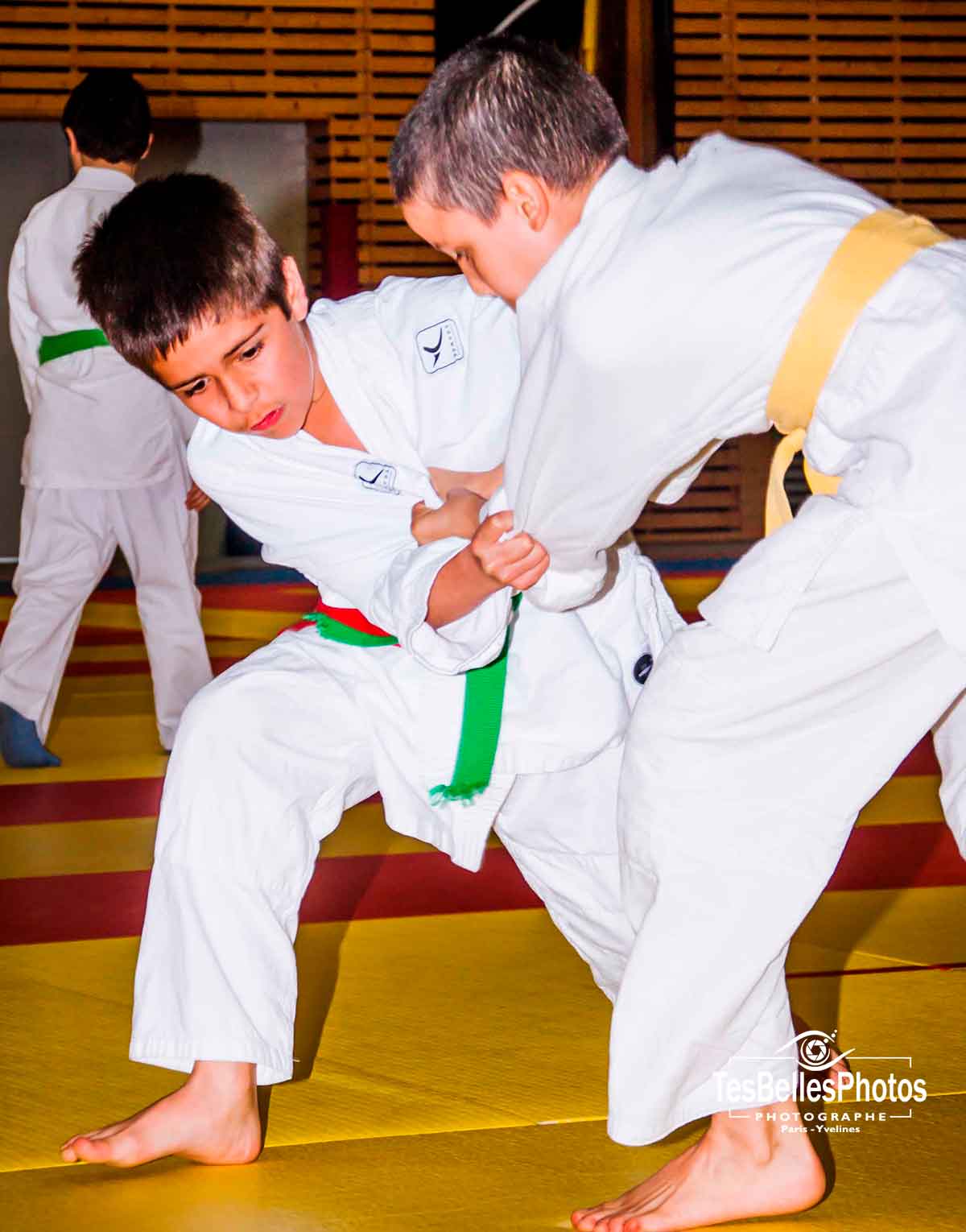 Photographe judo Seine-et-Marne, reportage photos de judo en Seine-et-Marne