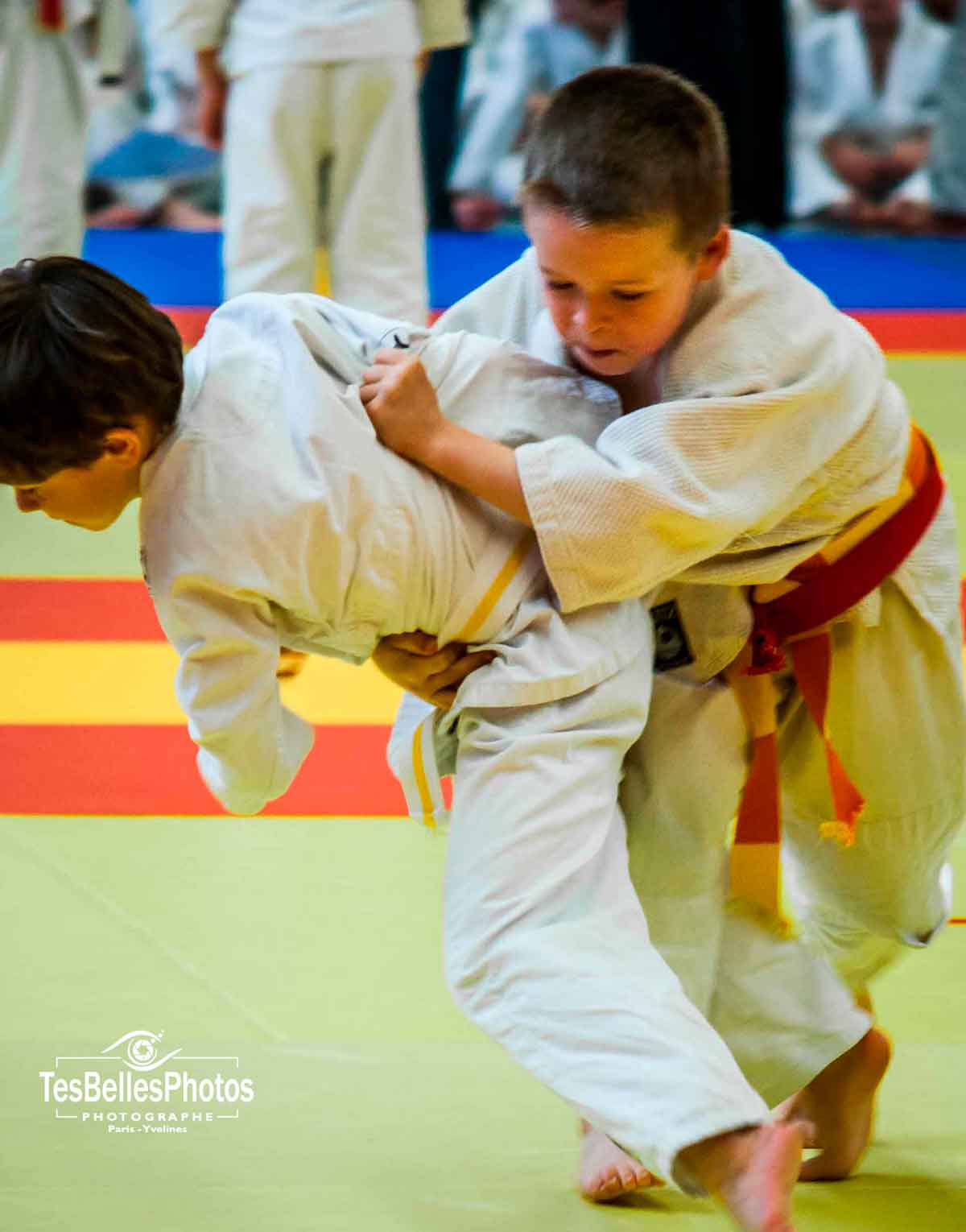 Photographe judo Val-de-Marne, reportage photos de judo en Val-de-Marne