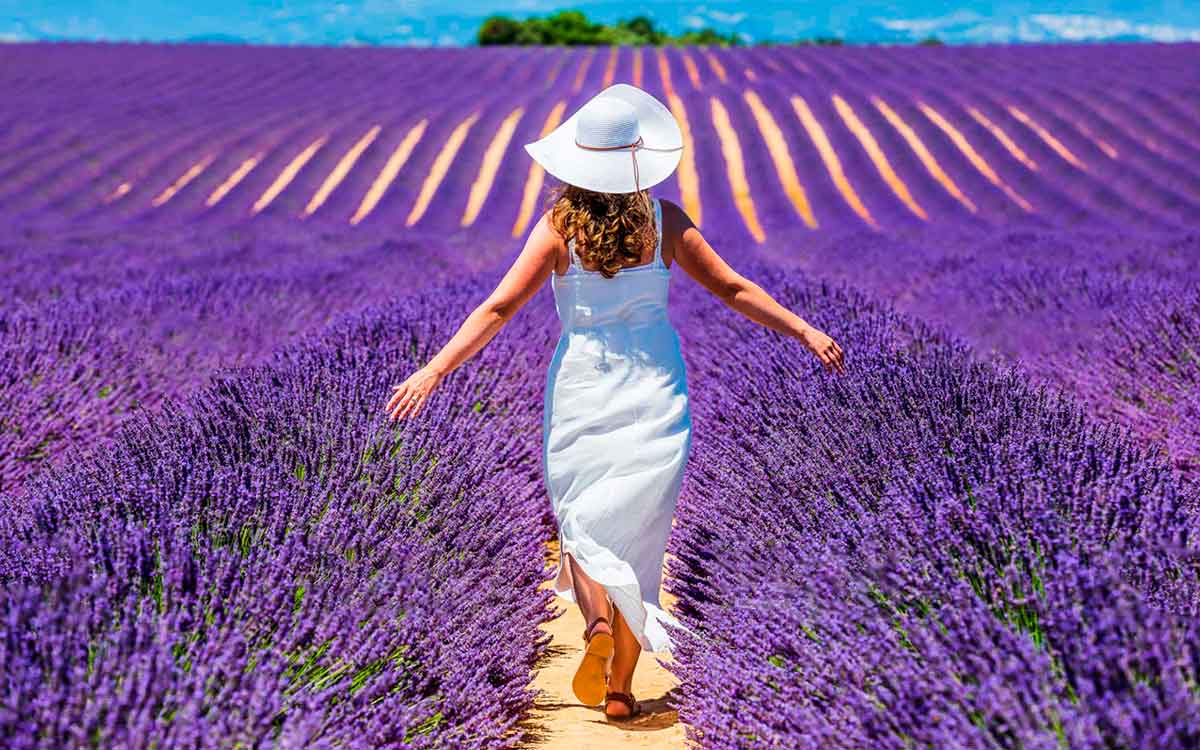 Séance photo dans un champ de lavande à Valensole, réalisée par un photographe à Valensole